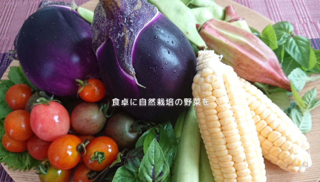 大阪自然栽培農学校・とどろみふぁーむのホームページより
https://todoromifarm.work/