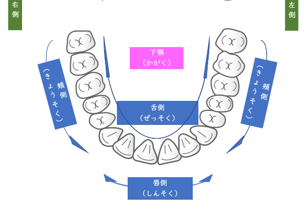歯周組織の検査結果の見方を教えてください 静岡市葵区の歯医者 みまつ渡辺歯科医院 静岡の総合歯科です