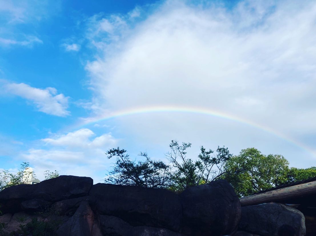 Instagramからのお知らせ⭐