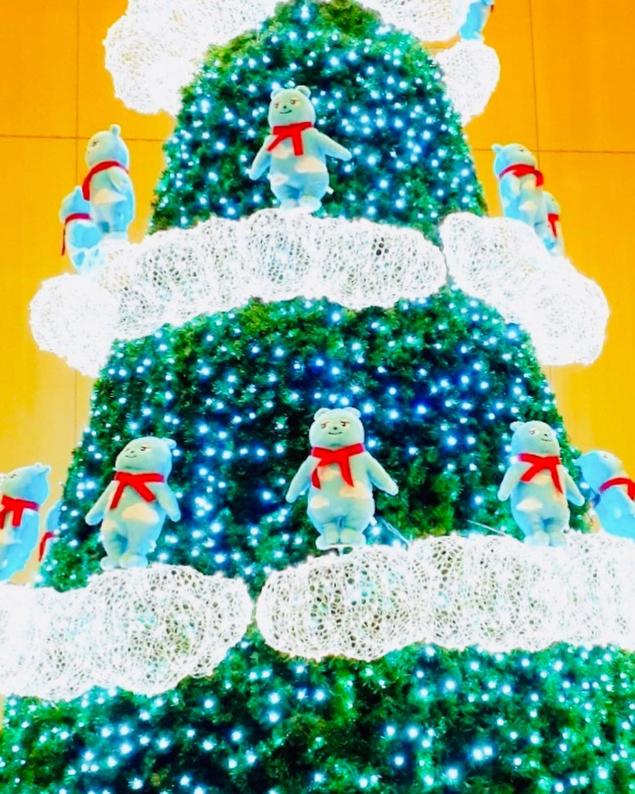 Instagramからのお知らせ⭐