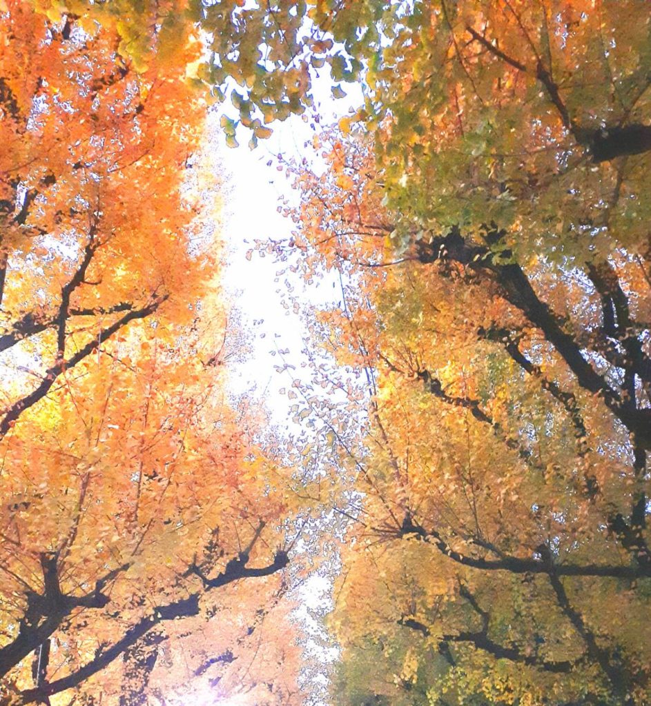 秋ですね🍂やっぱり食欲の秋(^^♪