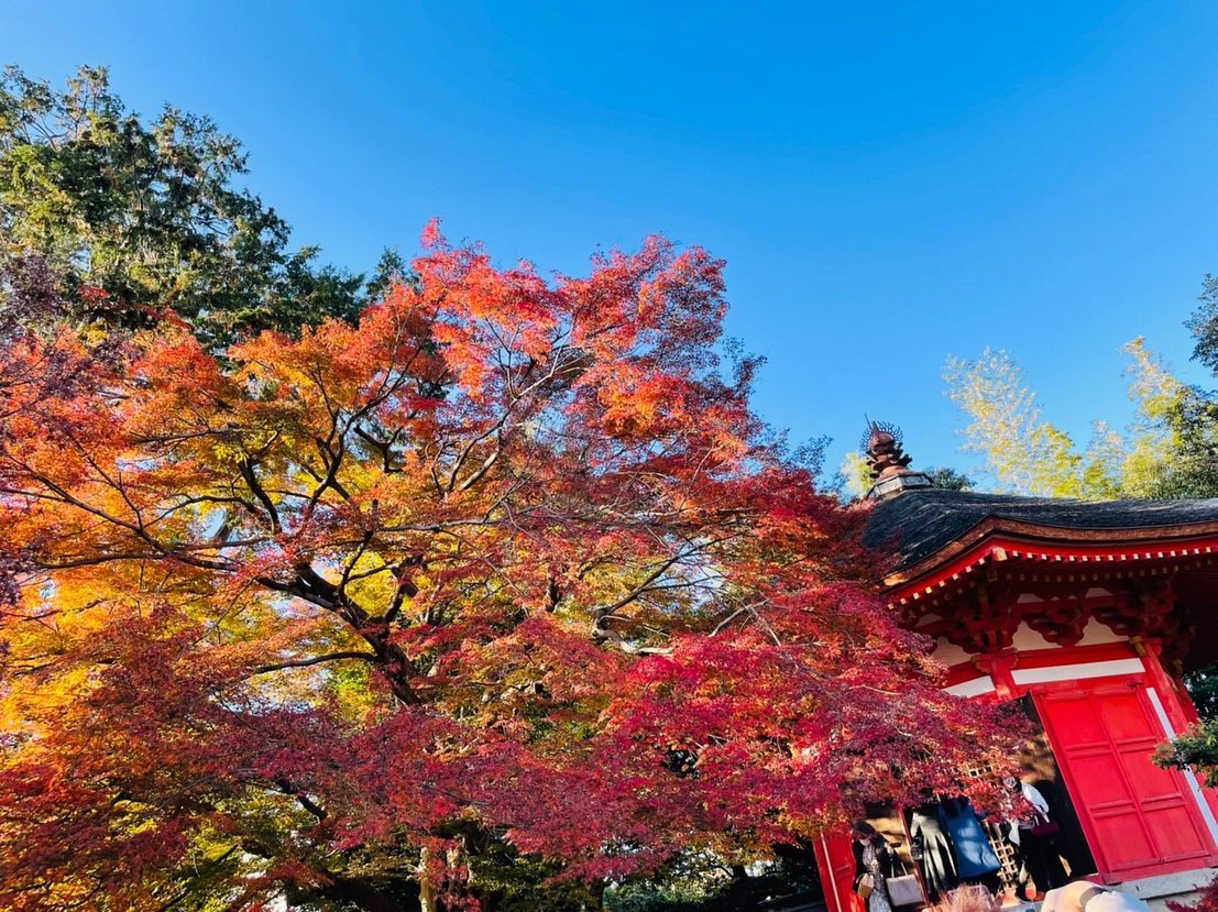 Instagramからのお知らせ⭐