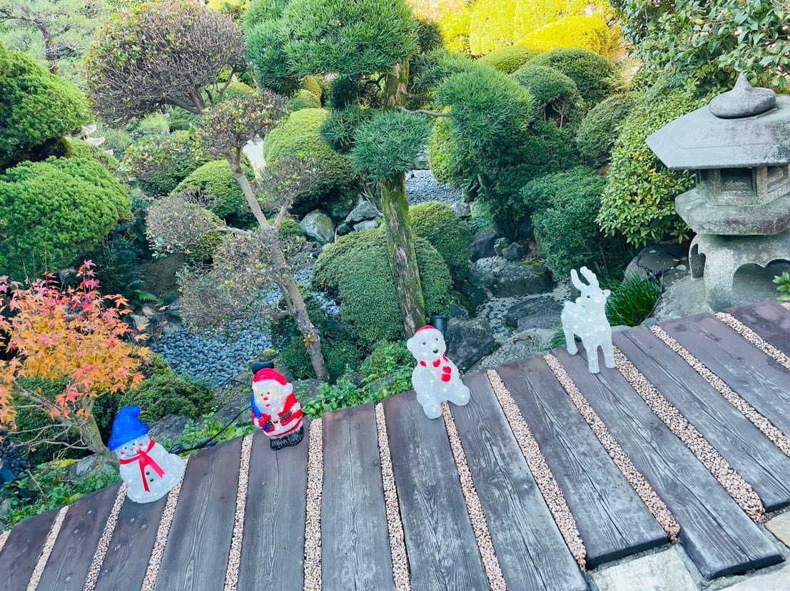 Instagramからのお知らせ⭐