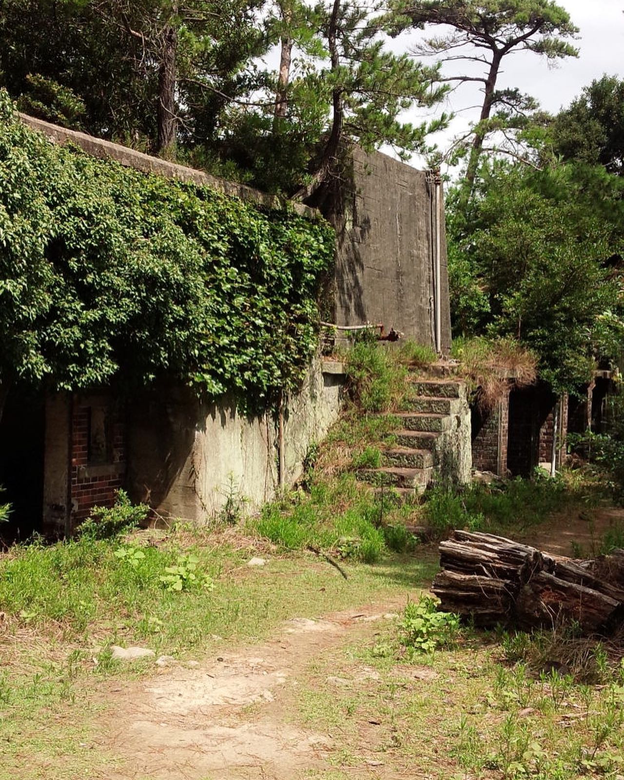 Instagramからのお知らせ⭐