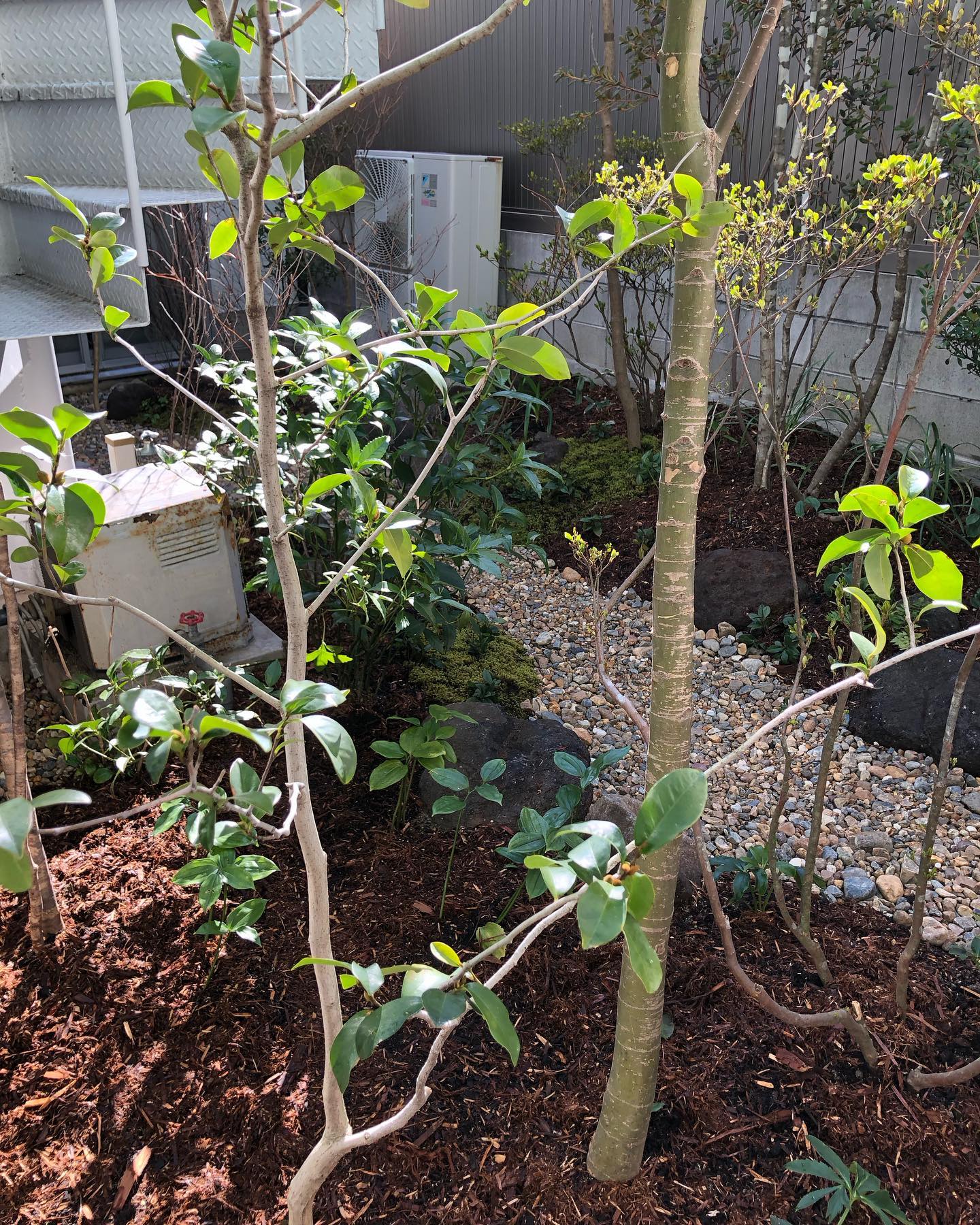 Instagramからのお知らせ⭐