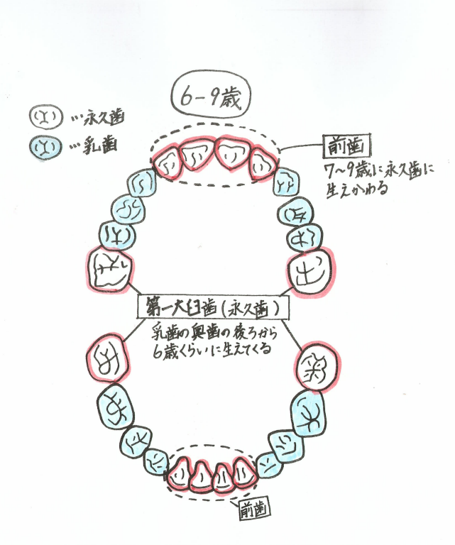 スクリーンショット-2023-05-09-14.50.17 | 平澤歯科-医療法人福涛会（ふくなみかい）