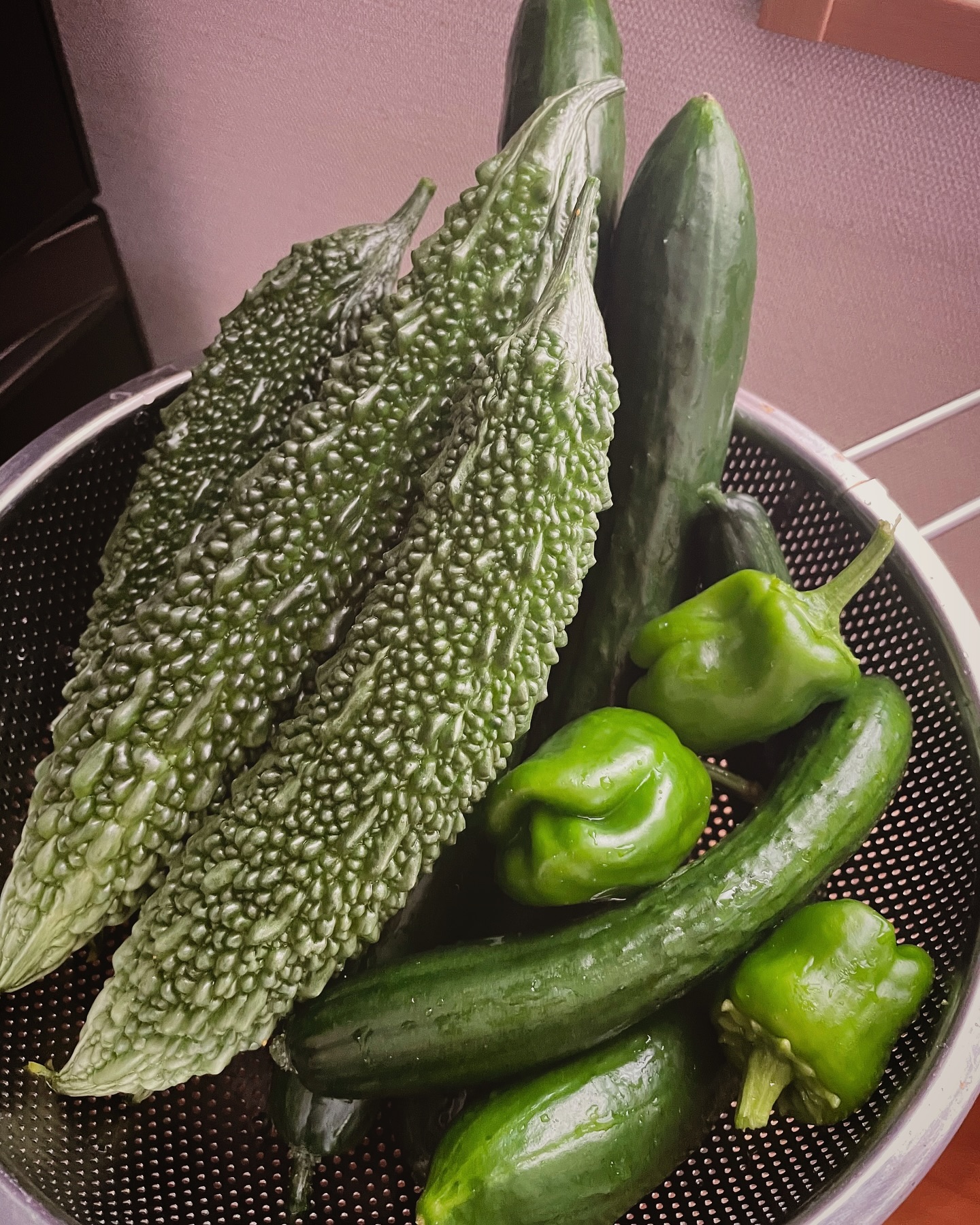 Instagramからのお知らせ⭐