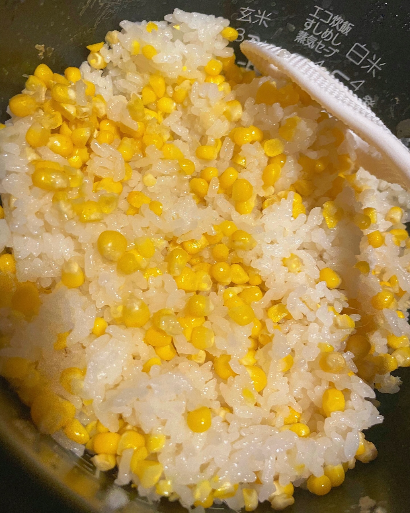 Instagramからのお知らせ⭐