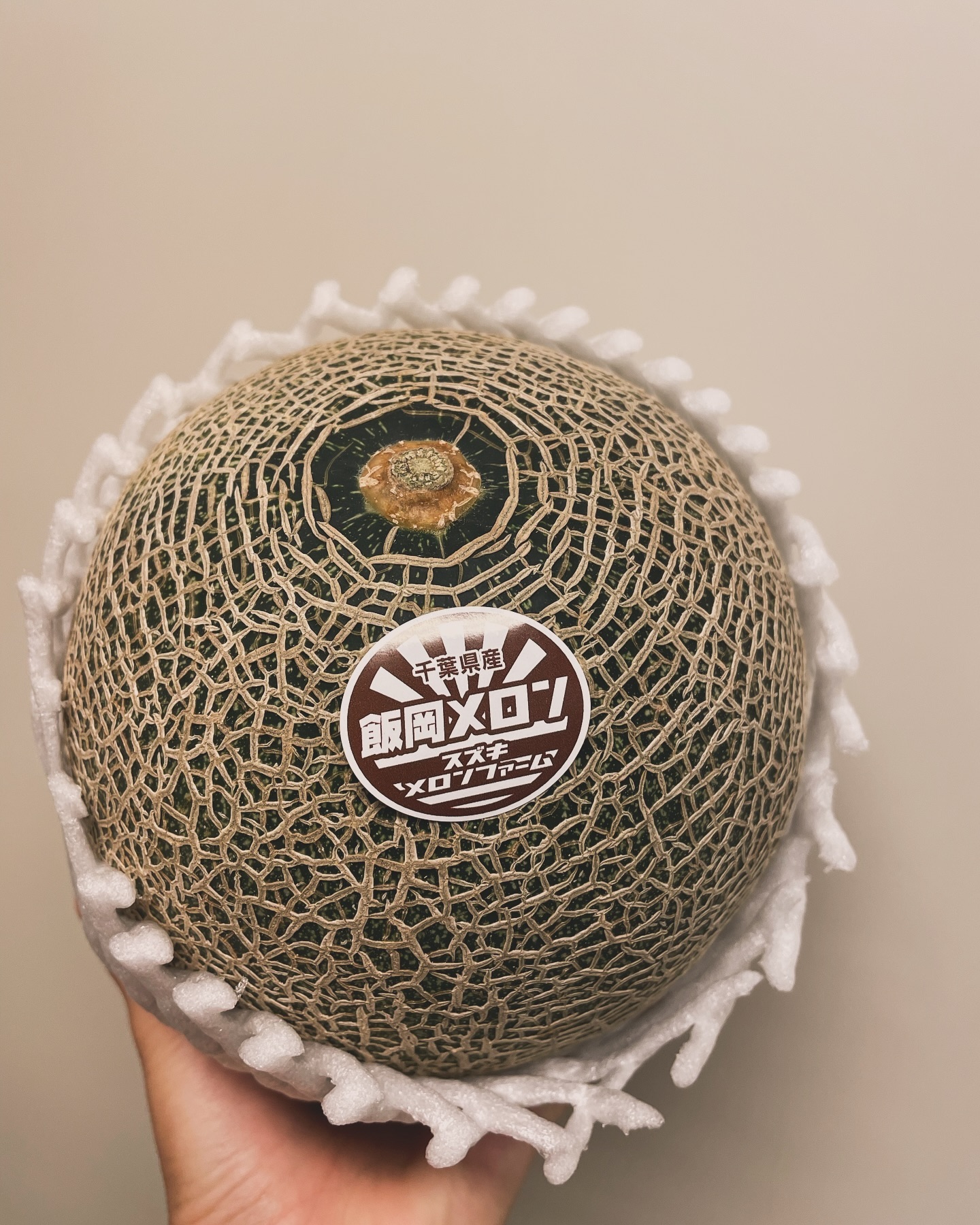 Instagramからのお知らせ⭐