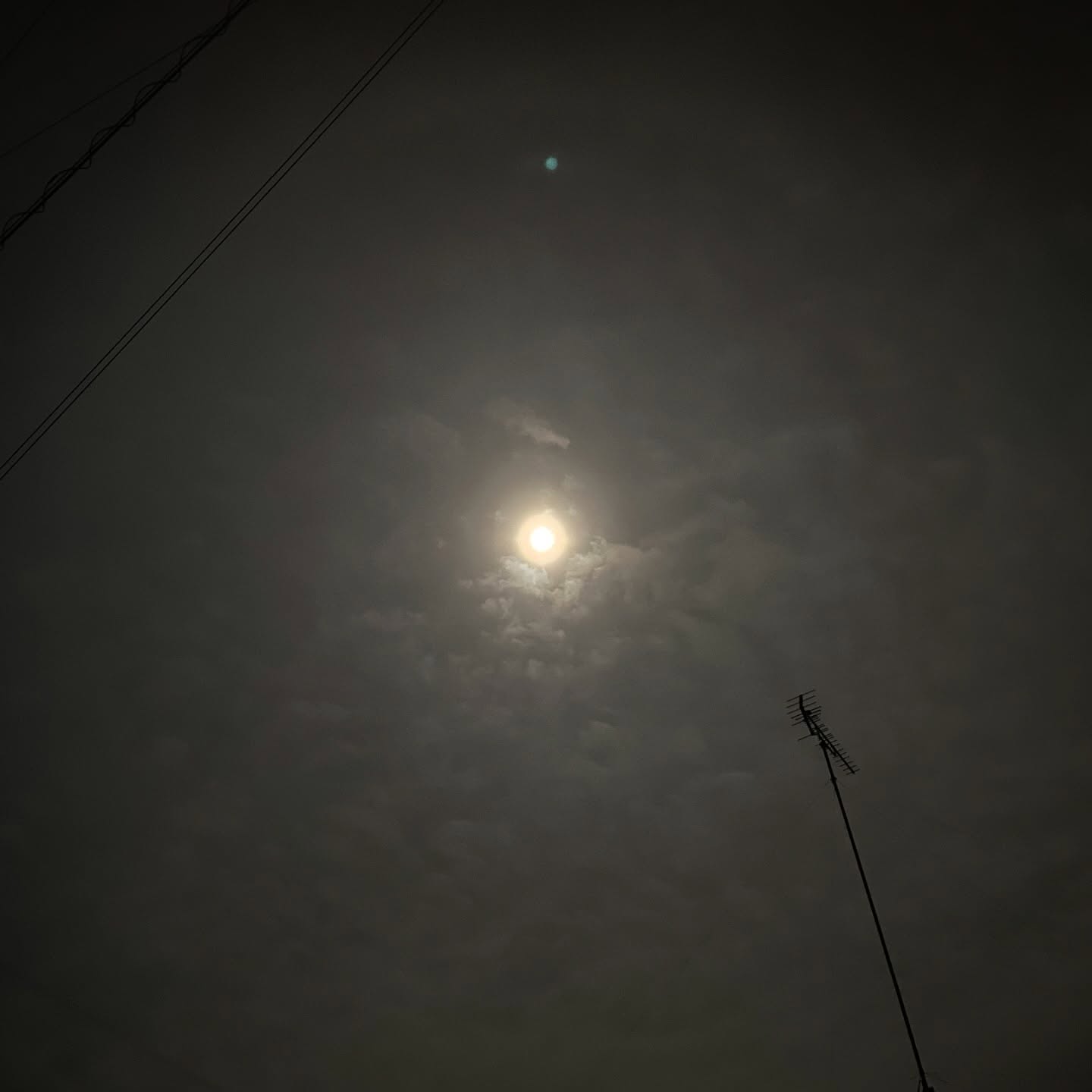 Instagramからのお知らせ⭐