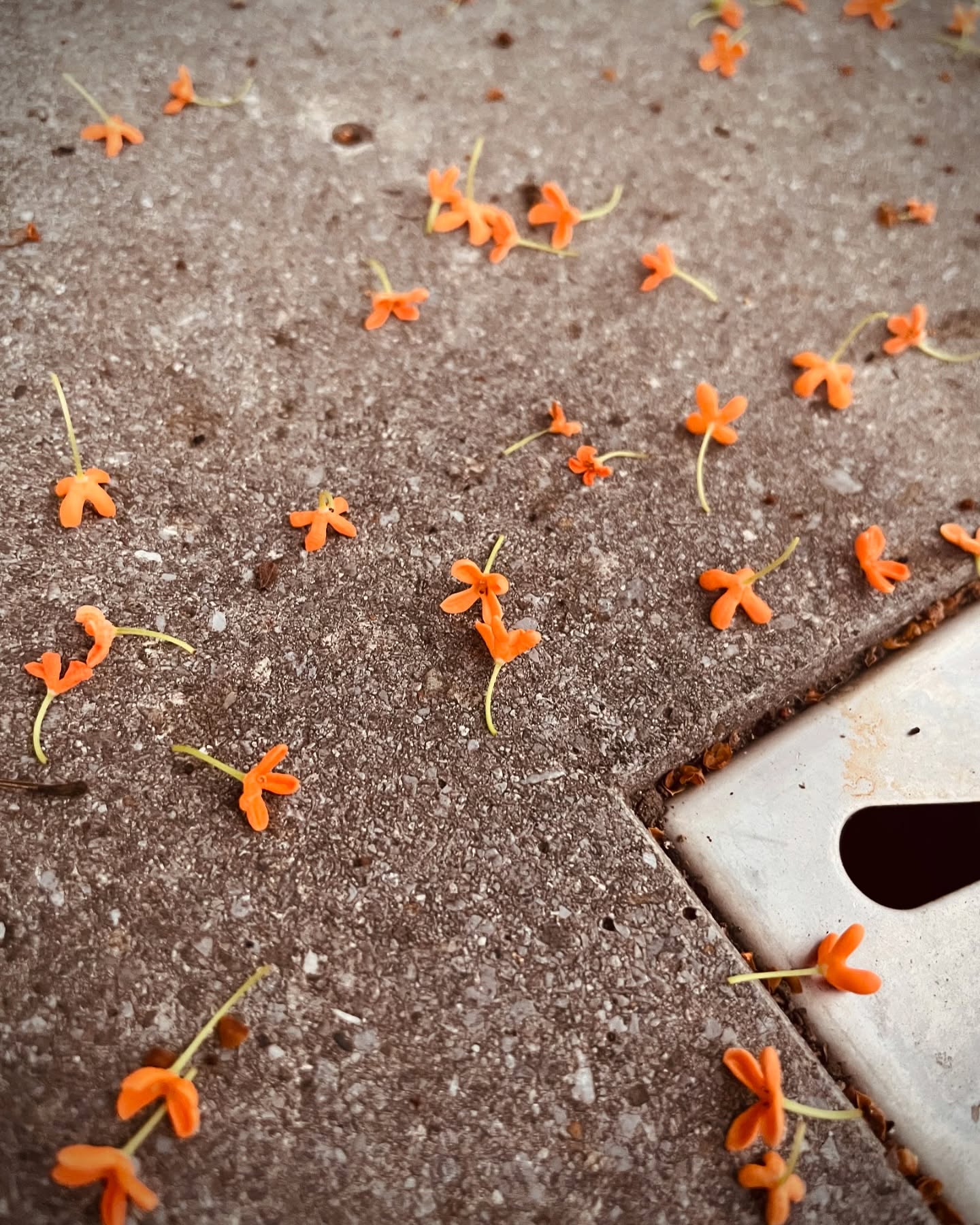 Instagramからのお知らせ⭐