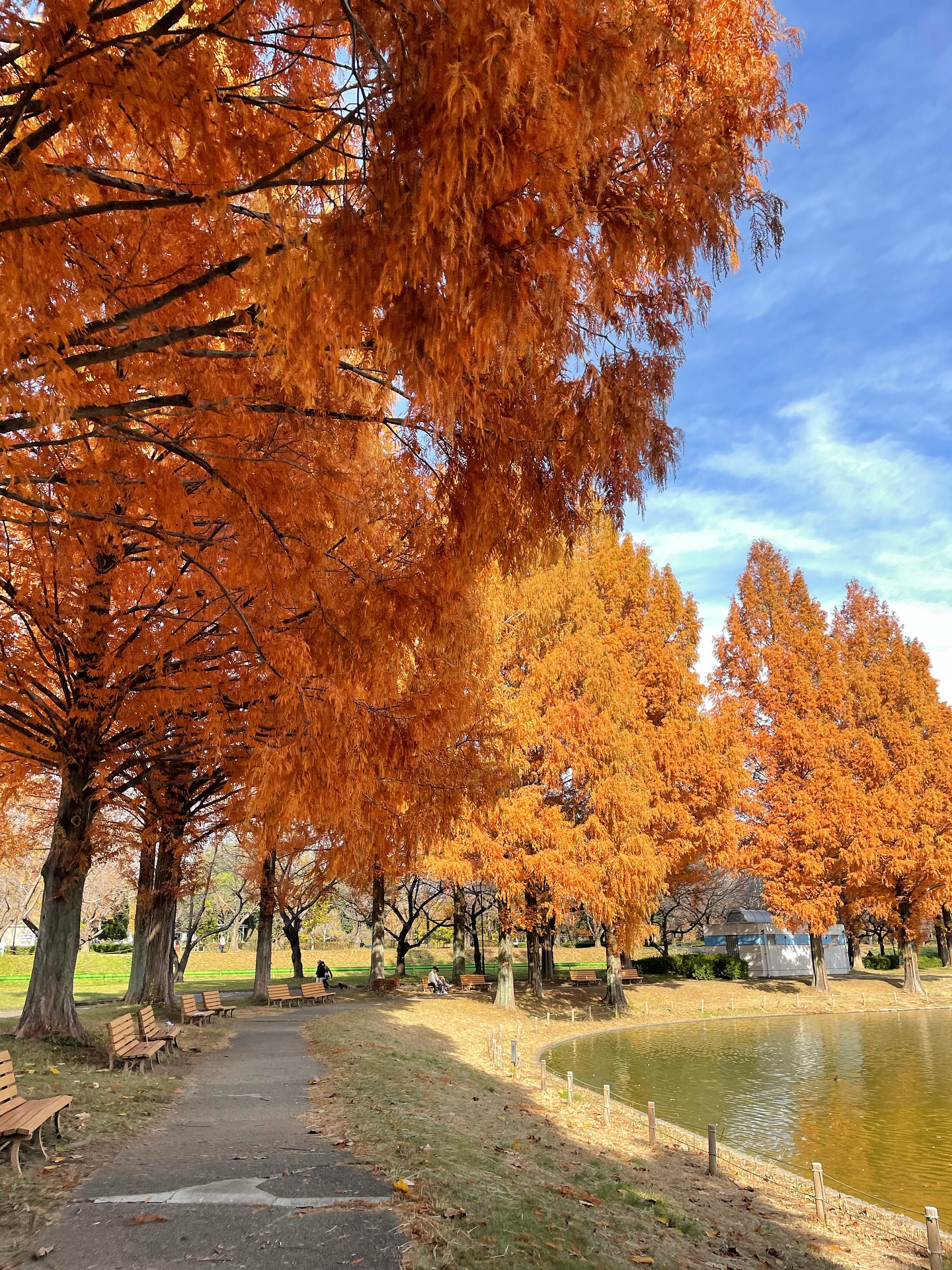 Instagramからのお知らせ⭐