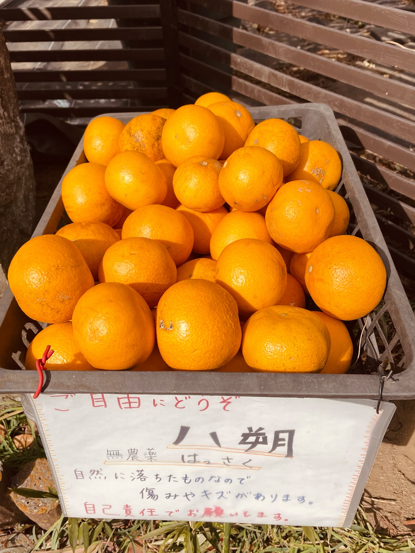 Instagramからのお知らせ⭐