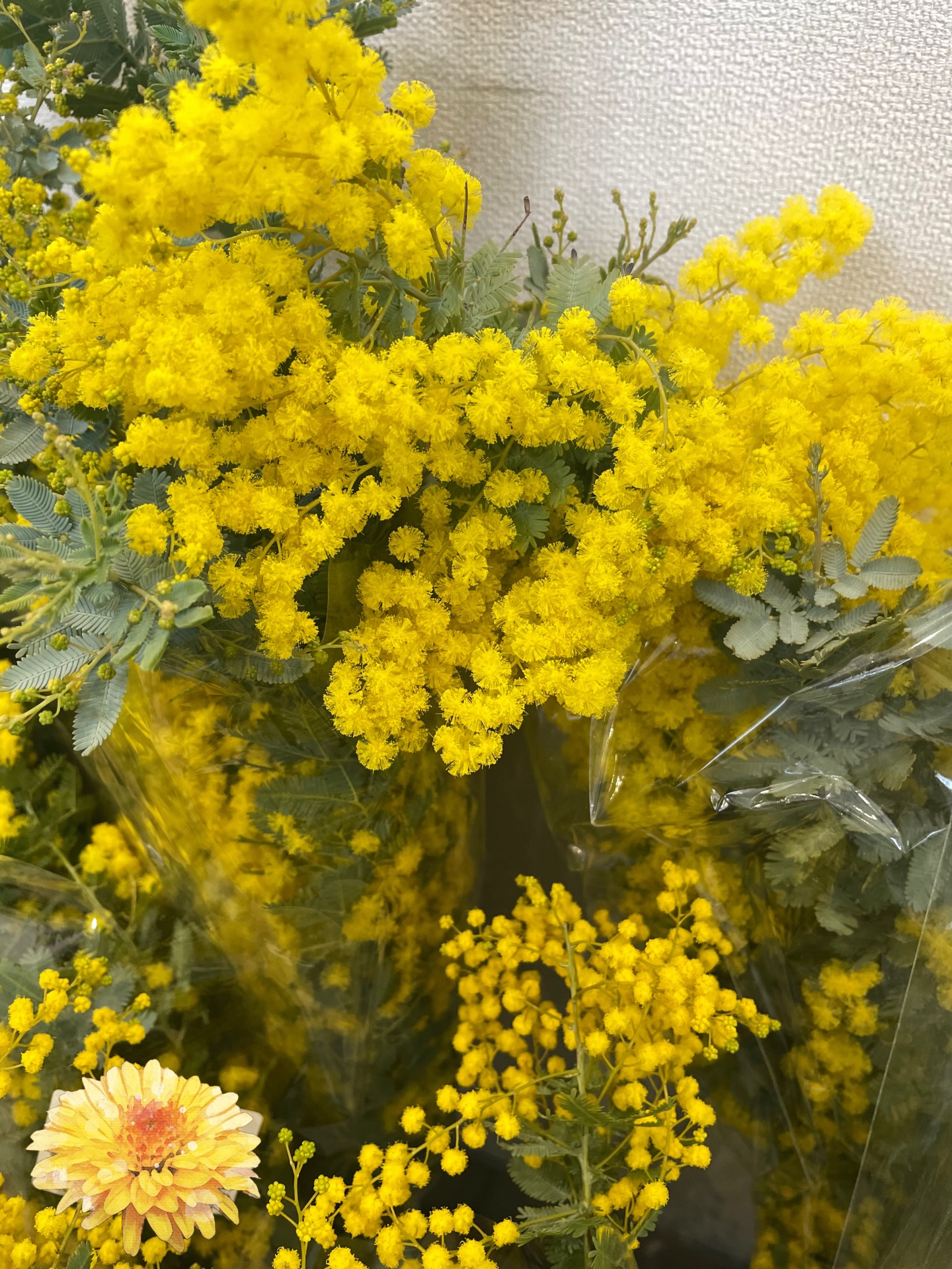 Instagramからのお知らせ⭐