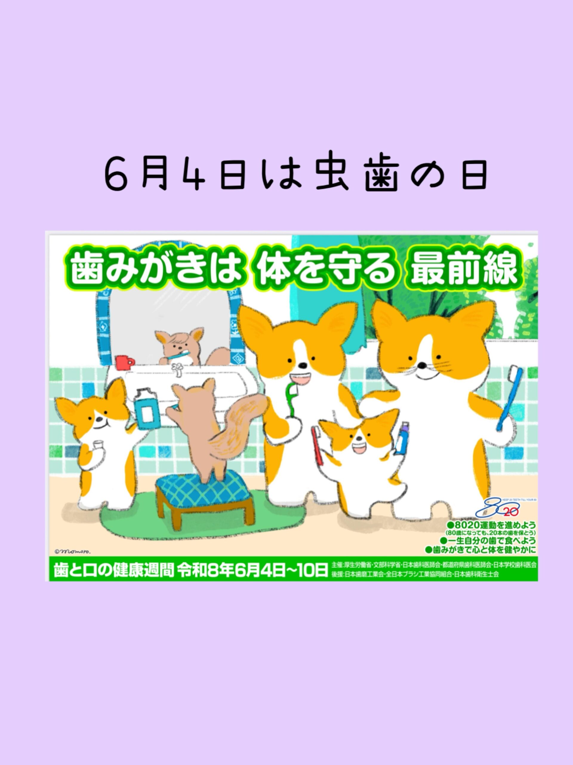 Instagramからのお知らせ⭐